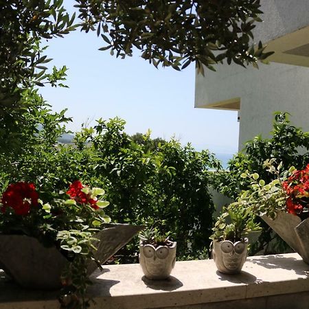 Beautifull Sea View Apartment 바스카보다 외부 사진