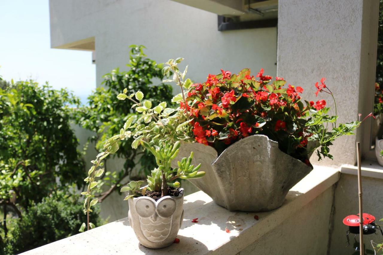 Beautifull Sea View Apartment 바스카보다 외부 사진